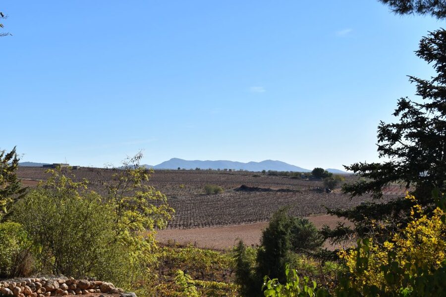 From Valencia: Guided Cheese Factory Tour with Wine Tasting - Inside the cheese caves