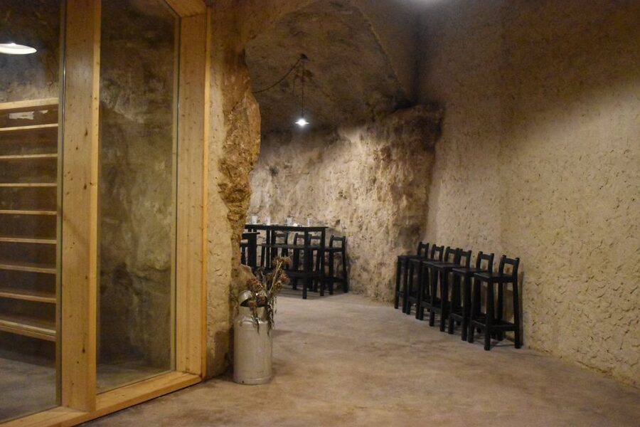 From Valencia: Guided Cheese Factory Tour with Wine Tasting - Is $117 a fair price?