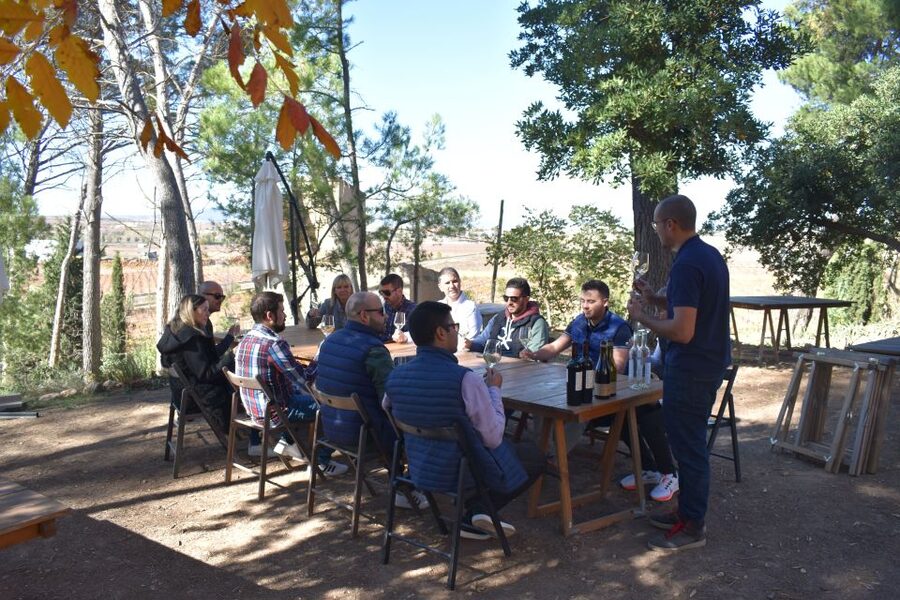 From Valencia: Guided Cheese Factory Tour with Wine Tasting - Pedrones and its three-brother cheese factory