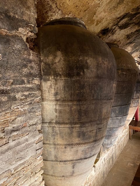 From Valencia: Utiel-Requena Wine Tour and Traditional Lunch - A few practical limits to keep in mind