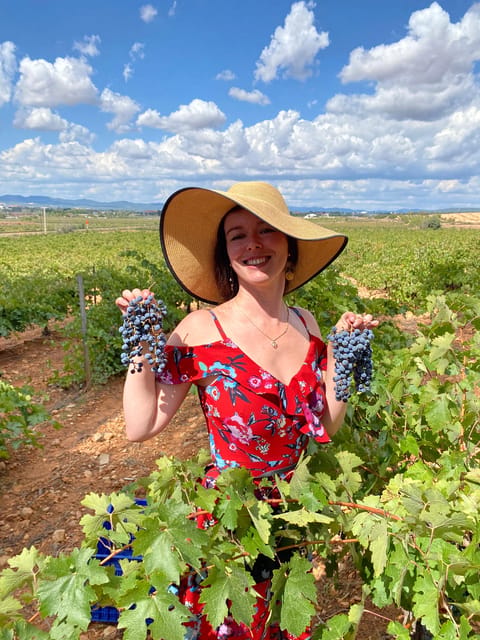 From Valencia: Utiel-Requena Wine Tour and Traditional Lunch - Requena’s medieval underground winery