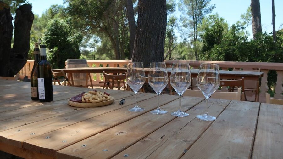 From Valencia: Utiel-Requena Wine Tour and Traditional Lunch - What the $265 price includes