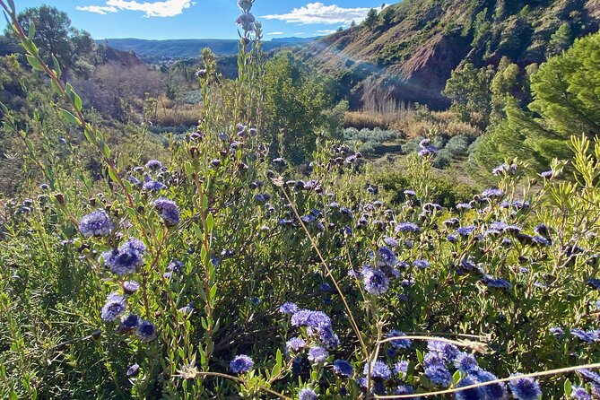Full-day Hiking at Ruta the Aqua across Pena Cortada - What the $216.74 price buys you