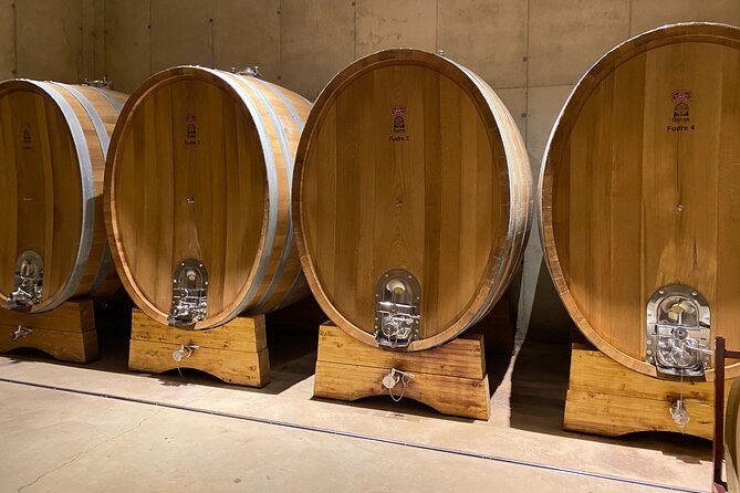 Full Day Private Requena Wineries Premium Tastings - Why this wine day is different from a simple tasting