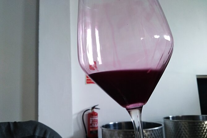 Full Day Private Requena Wineries Premium Tastings - Bodegas Vegalfaro and the details of organic farming