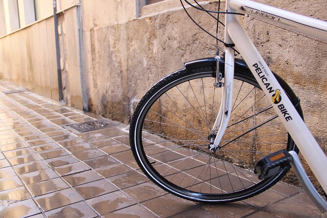 GRAND CITY Private Guided Tour on Bike, E-Bike, E-Step or Segway - The City of Arts and Sciences changes the mood