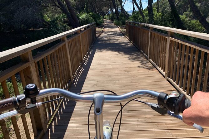 GRAND CITY Private Guided Tour on Bike, E-Bike, E-Step or Segway - Price, timing, and who gets the most value