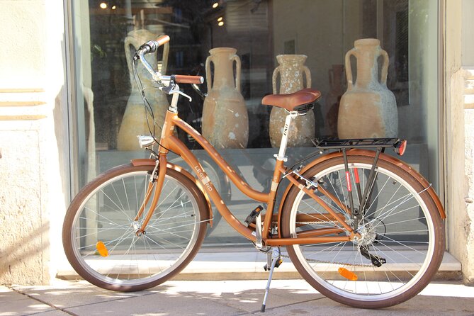 GRAND CITY Private Guided Tour on Bike, E-Bike, E-Step or Segway - Starting in Valencia’s old town