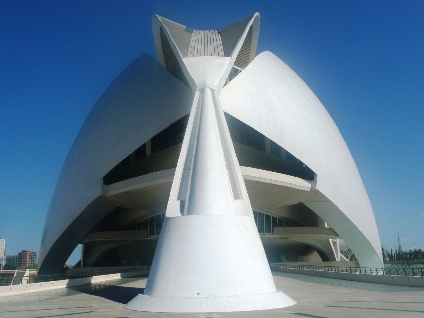 Highlights of Valencia: Private Half-Day Tour - The City of Arts and Sciences sets the tone