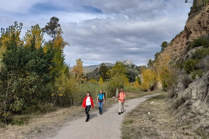 Hike to the Roman aqueduct Peña Cortada - Chelva’s old neighborhoods