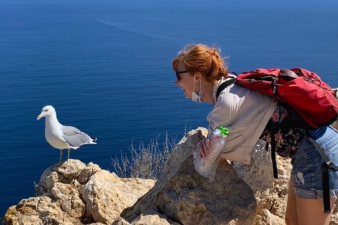 Hiking Peñon de Ifach in Calpe and visit Altea - OFFICIAL GUIDE - Climbing the Peñon de Ifach over four hours
