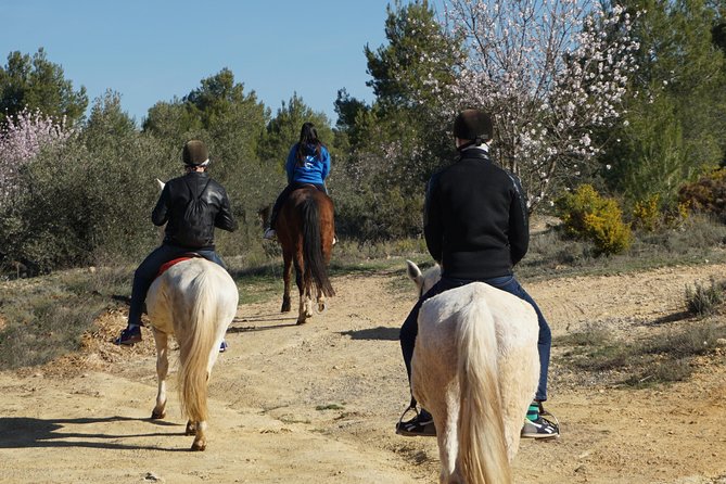 Horseback riding and wine tour (private tour) - From Burjassot to Utiel-Requena wine country
