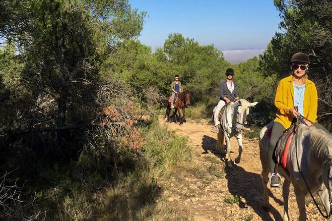 Horseback riding and wine tour (private tour) - Why the small group changes the experience
