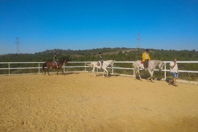 Horseback riding and wine tour (private tour) - How this compares with a standard Valencia wine tour