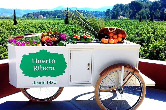 Live an Experience Among Orange Trees in Huerto Ribera - Why Carcaixent is the right place for an orange farm visit