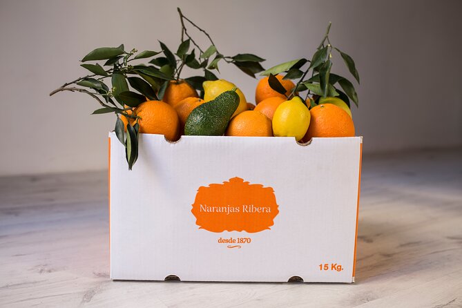 Live an Experience Among Orange Trees in Huerto Ribera - Seeing the warehouse and packing process