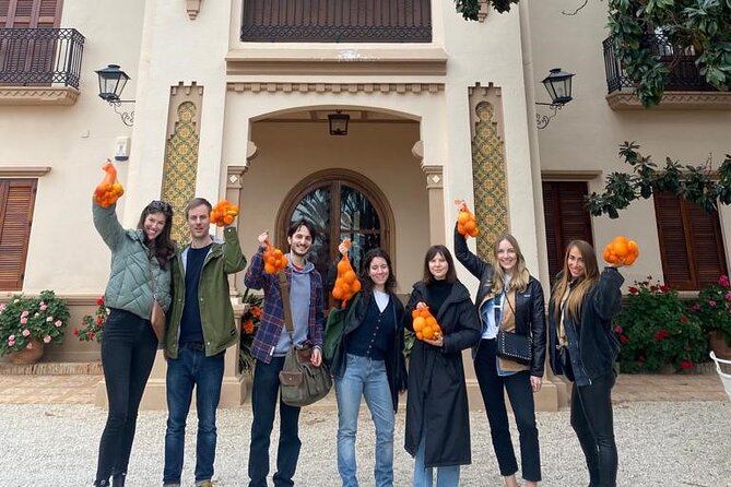 Live an Experience Among Orange Trees in Huerto Ribera - Getting there from Valencia