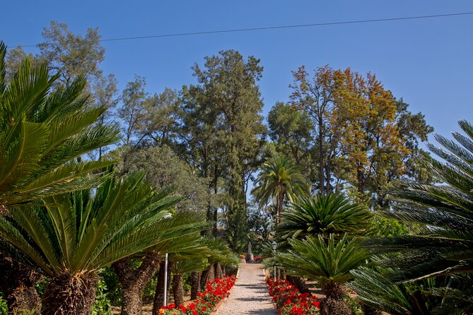 Live an Experience Among Orange Trees in Huerto Ribera - Who will enjoy this farm visit most