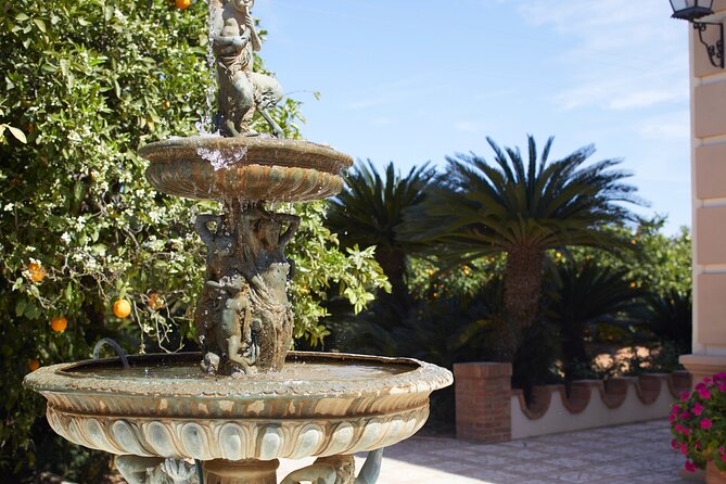 Live an Experience Among Orange Trees in Huerto Ribera - What the visit says about Valencian citrus farming