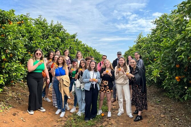 Live an Experience Among Orange Trees in Huerto Ribera - Tasting citrus straight from the farm
