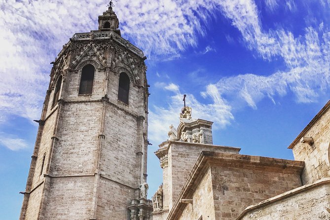 Private Tour of Valencia City - The private car, walking time, and pace