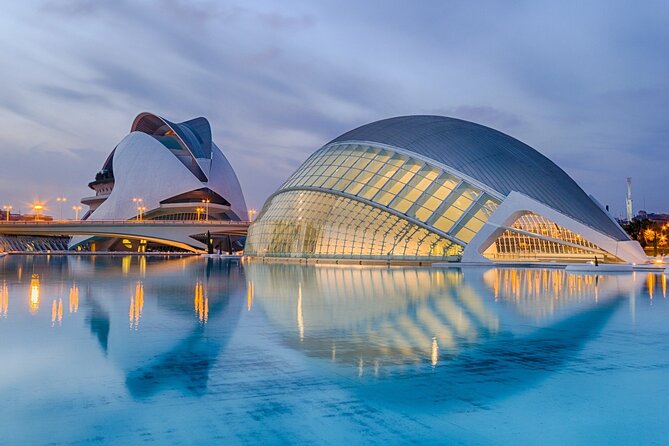 Private Tour of Valencia with Official Guide - The Water Tribunal is a memorable finish