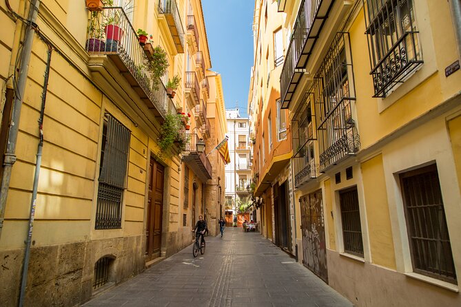 PRIVATE Walking Tour Historical Center with Local Expert - La Lonja de la Seda and Valencia’s Gothic wealth