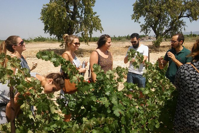 Private Wine Tour with Wine Tasting and Full Lunch (day trip) - Key Things to Know Before You Book