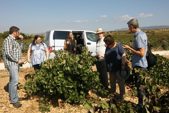 Private Wine Tour with Wine Tasting and Full Lunch (day trip) - Why Utiel-Requena Makes a Good Day Trip