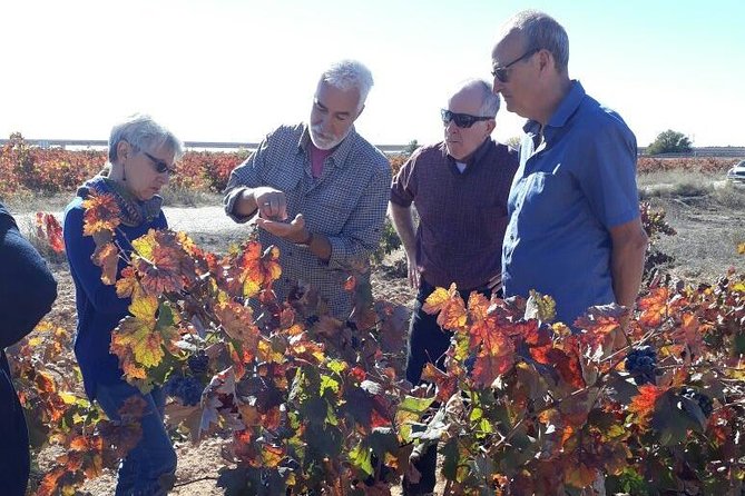Private Wine Tour with Wine Tasting and Full Lunch (day trip) - At Bodega Vera de Estenas, Wine Made on a Smaller Scale