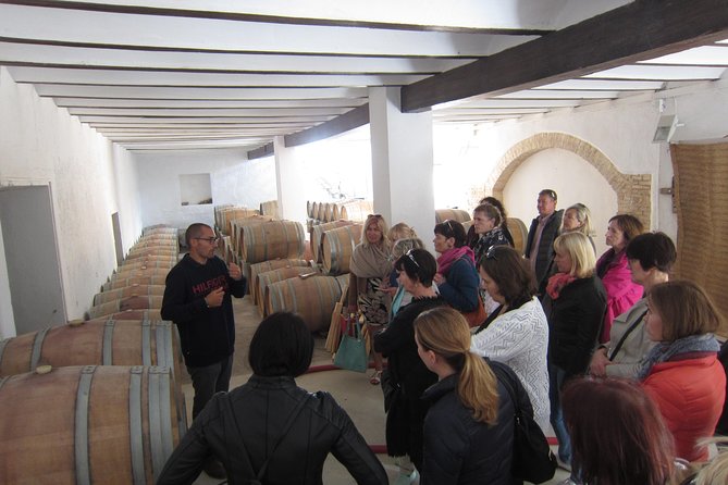 Private Wine Tour with Wine Tasting and Full Lunch (day trip) - Is $192.29 a Fair Price?