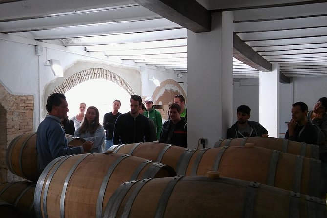 Private Wineries Tour from Valencia (morning tour) - The first stop: Murviedro’s ninth-century caves