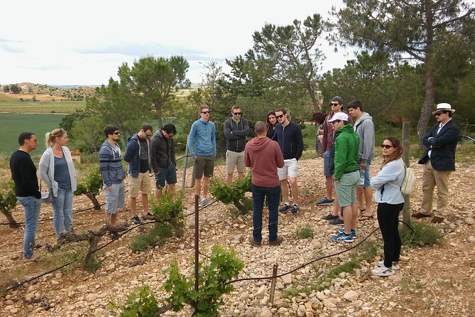 Private Wineries Tour from Valencia (morning tour) - The second stop: Vera de Estenas and the working winery