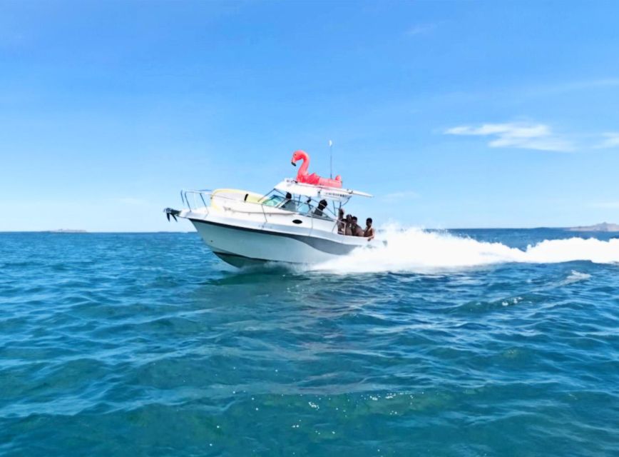 Rent Boat Valencia Yatch Polonova with capitan and drinks - Who will enjoy this Valencia yacht outing?