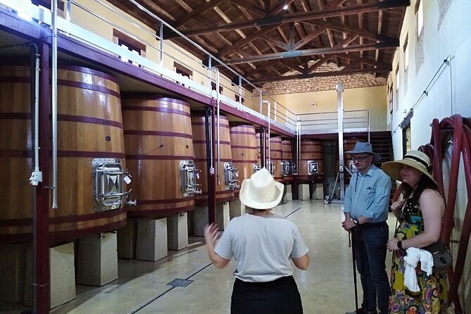 Requena Somm. Private Vineyards/ Premium Wine tasting 1/2 Day - From Valencia to Requena in a private vehicle