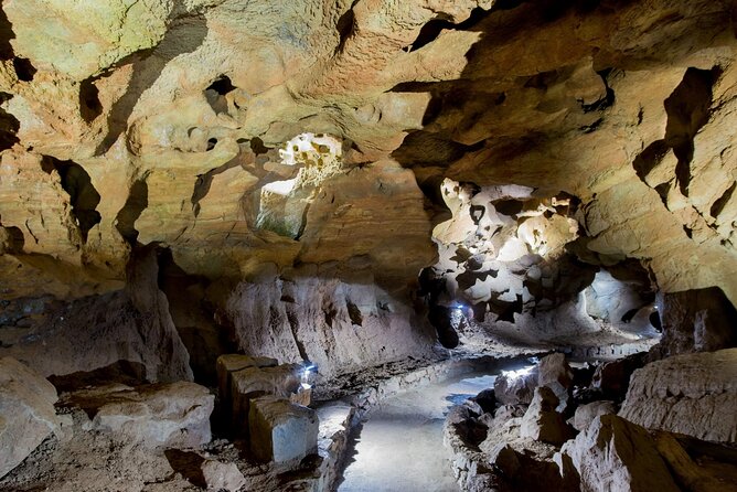 San Jose Caves Guided Tour from Valencia - Is $83.44 a fair price?