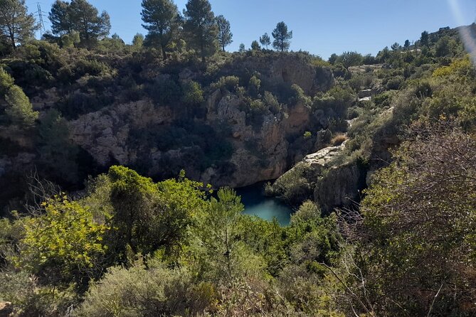 Shared Hike Tour in Valencia - Key points to know before booking