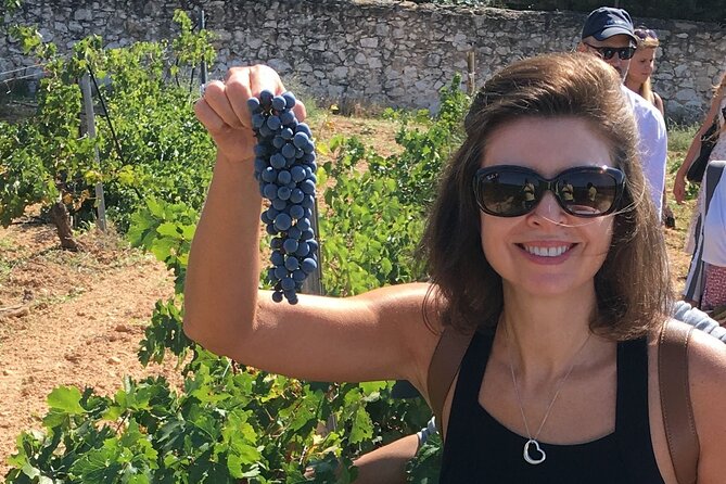 Singular Valencia Wine Tour Utiel Requena Wineries - What the $270.33 price includes