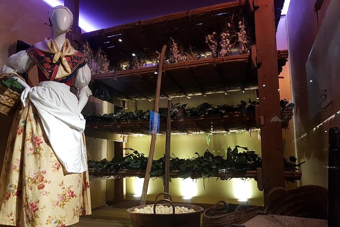 Skip the Line: Valencia Silk Museum Ticket Entrance - What the mobile ticket changes