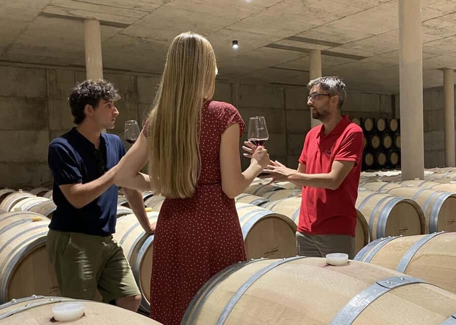 Small-Group Wine Tour from Valencia with Tastings Max 7 - Why Requena makes a smart wine day from Valencia