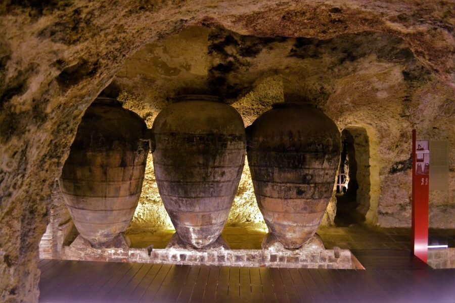 Small-Group Wine Tour from Valencia with Tastings Max 7 - Learning the local grape: Bobal