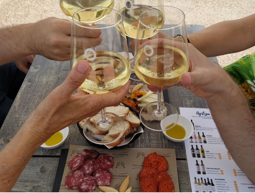 Small-Group Wine Tour from Valencia with Tastings Max 7 - What the small group changes