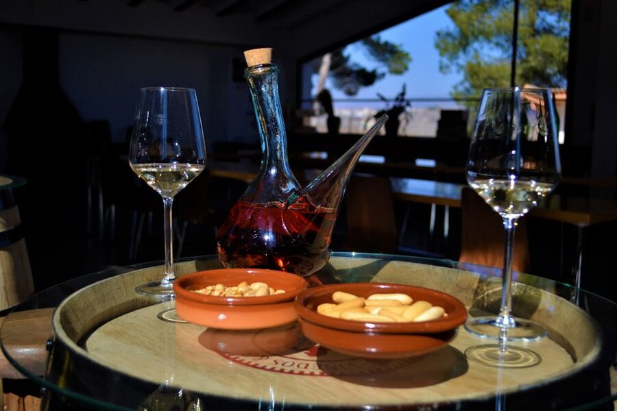 Small-Group Wine Tour from Valencia with Tastings Max 7 - Who should book this Requena wine tour?