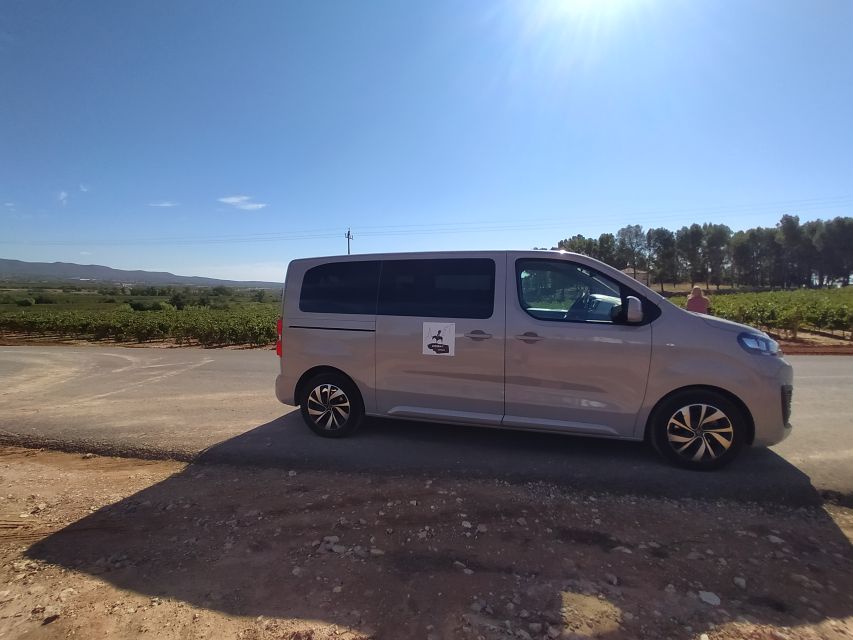 Small-Group Wine Tour from Valencia with Tastings Max 7 - The 10th-century caves at Murviedro