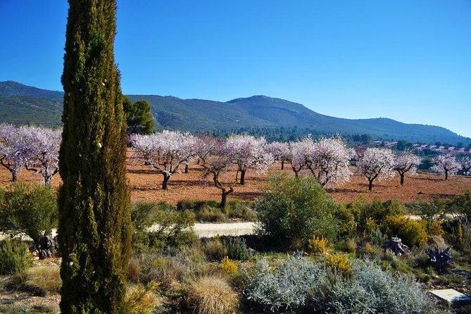Small-Group Wine Tour with Local Expert (7 max) - David’s small-group guiding style