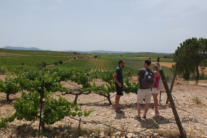 Tapas in the vineyards - Why the private format matters
