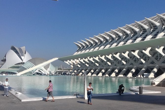 The City of Arts and Sciences in Valencia - Why the City of Arts and Sciences Works Best With a Guide