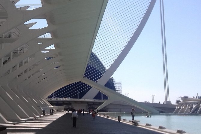 The City of Arts and Sciences in Valencia - Starting at 10:30 a.m. on Carrer del Pintor Maella