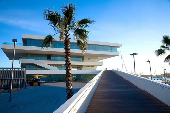 The City of Arts and Sciences in Valencia - Stop Three: Palau de les Arts Reina Sofía
