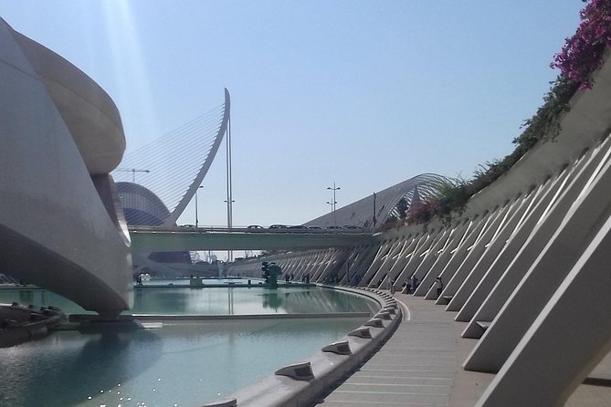The City of Arts and Sciences in Valencia - A Private Tour With a Human Pace